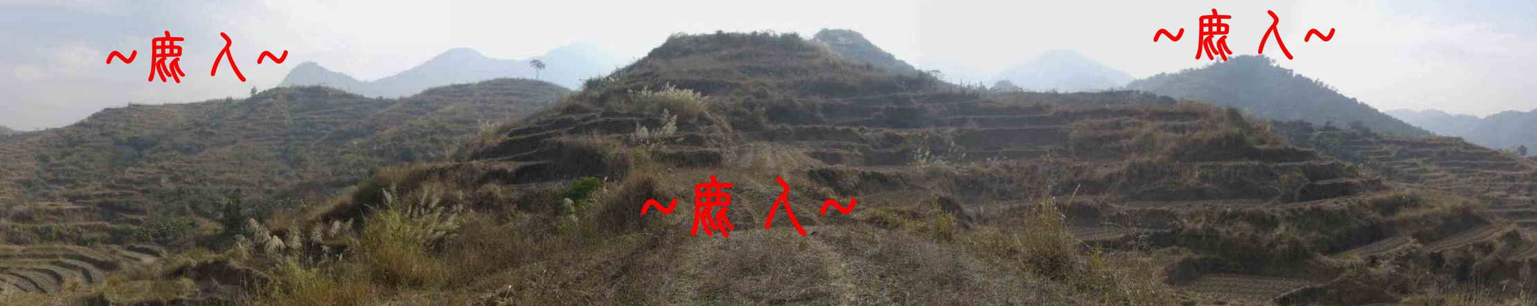 雲水大帳穴地65_近看下脈與入首照.JPG
