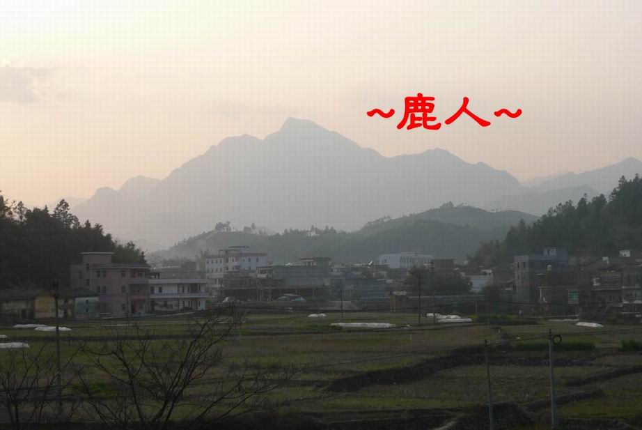 黃昏看到你2.JPG