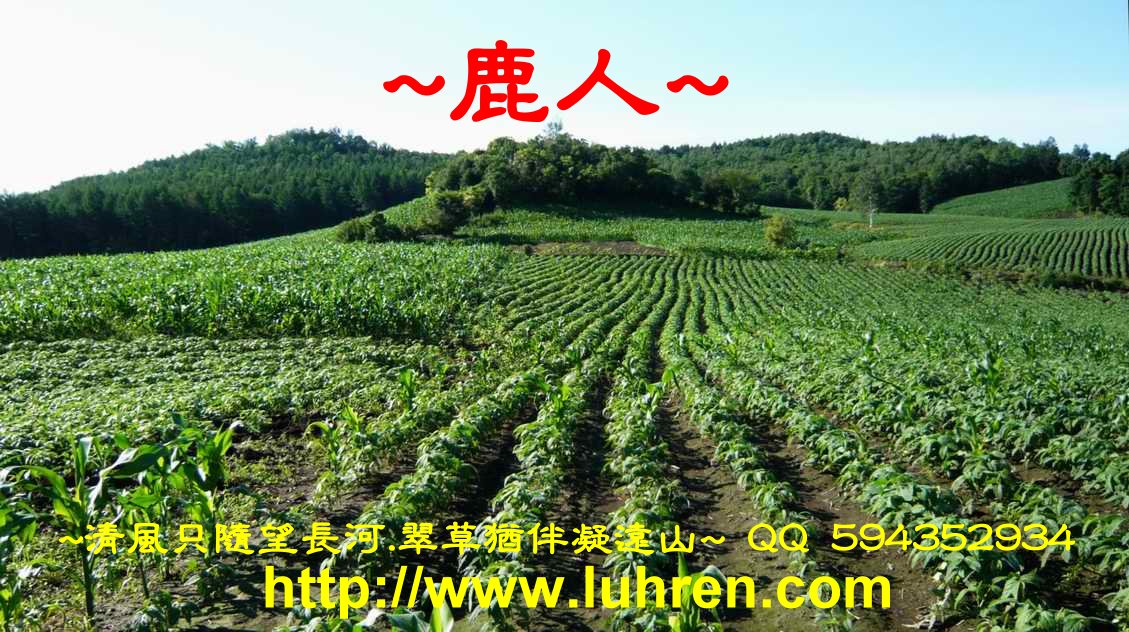 黑土下_1_1.JPG