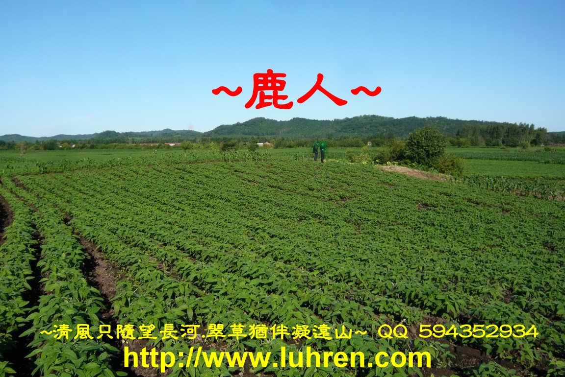 黑土下_2.JPG