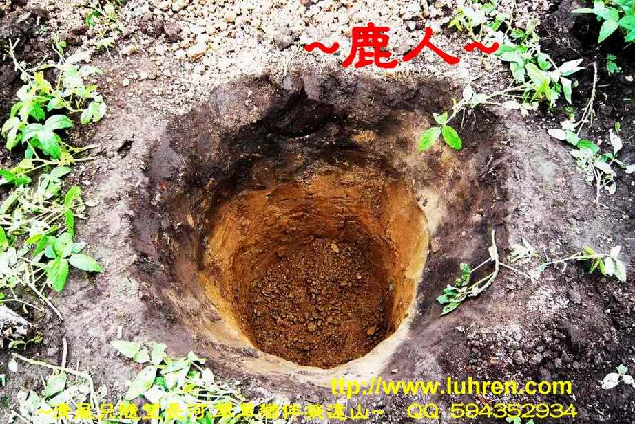 黑土下_3.JPG