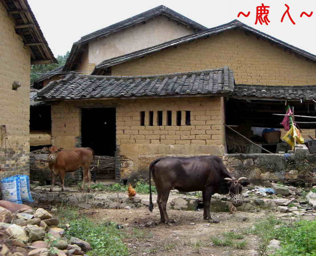 勤與勞_觀感628.JPG