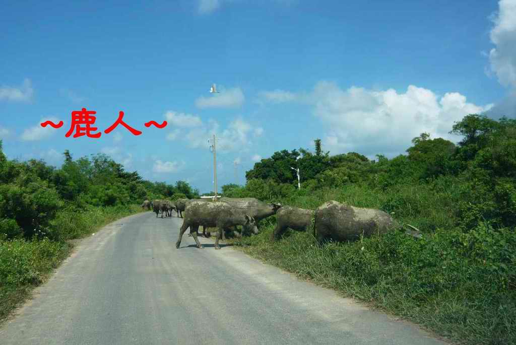 臺灣尾_恆春一卦地_16.JPG