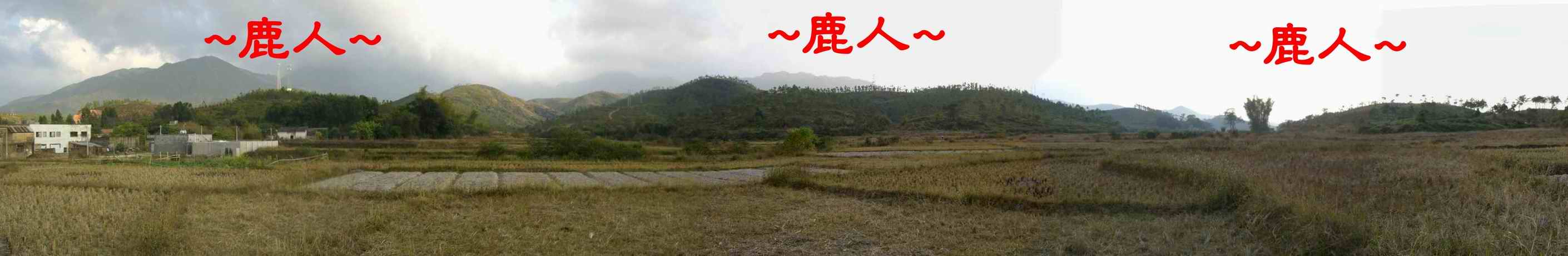 遠看穴山全景.JPG