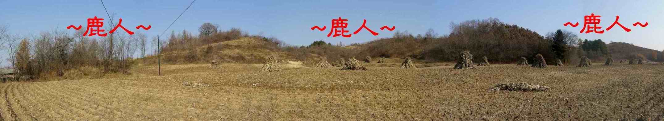 遠看穴場全照.JPG