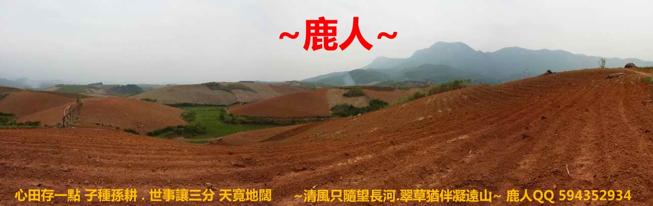 鳳凰山下_01.JPG