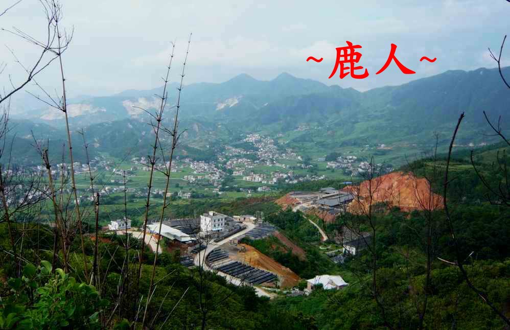 遍體鱗傷_894_1.JPG