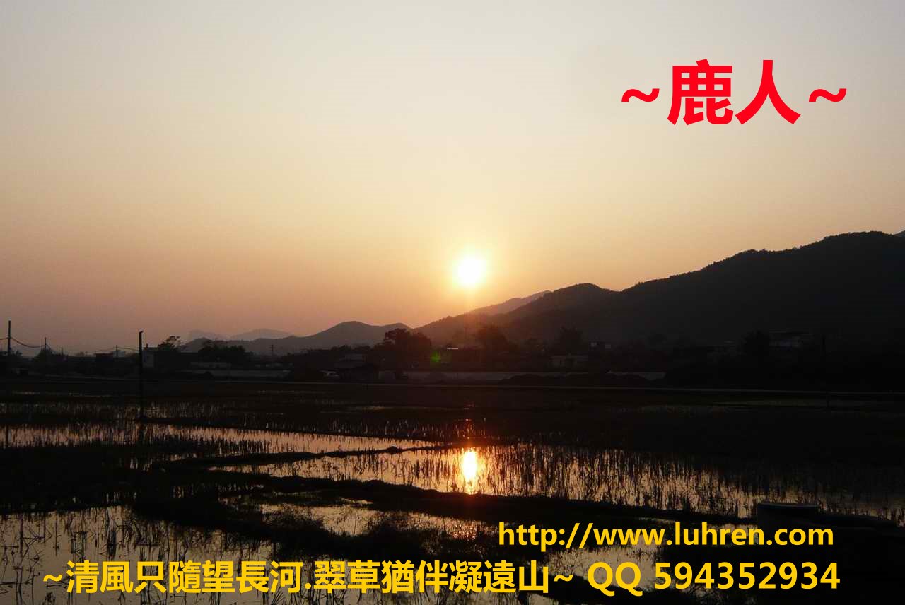 摘星_01.JPG