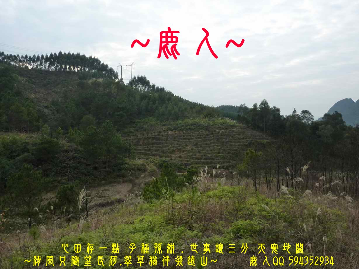 滾動流金_03.JPG