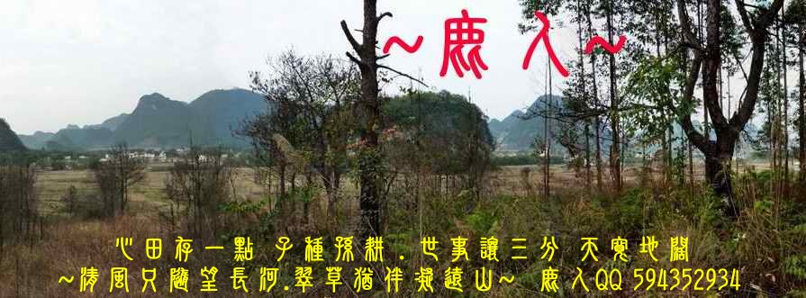 滾動流金_08.JPG