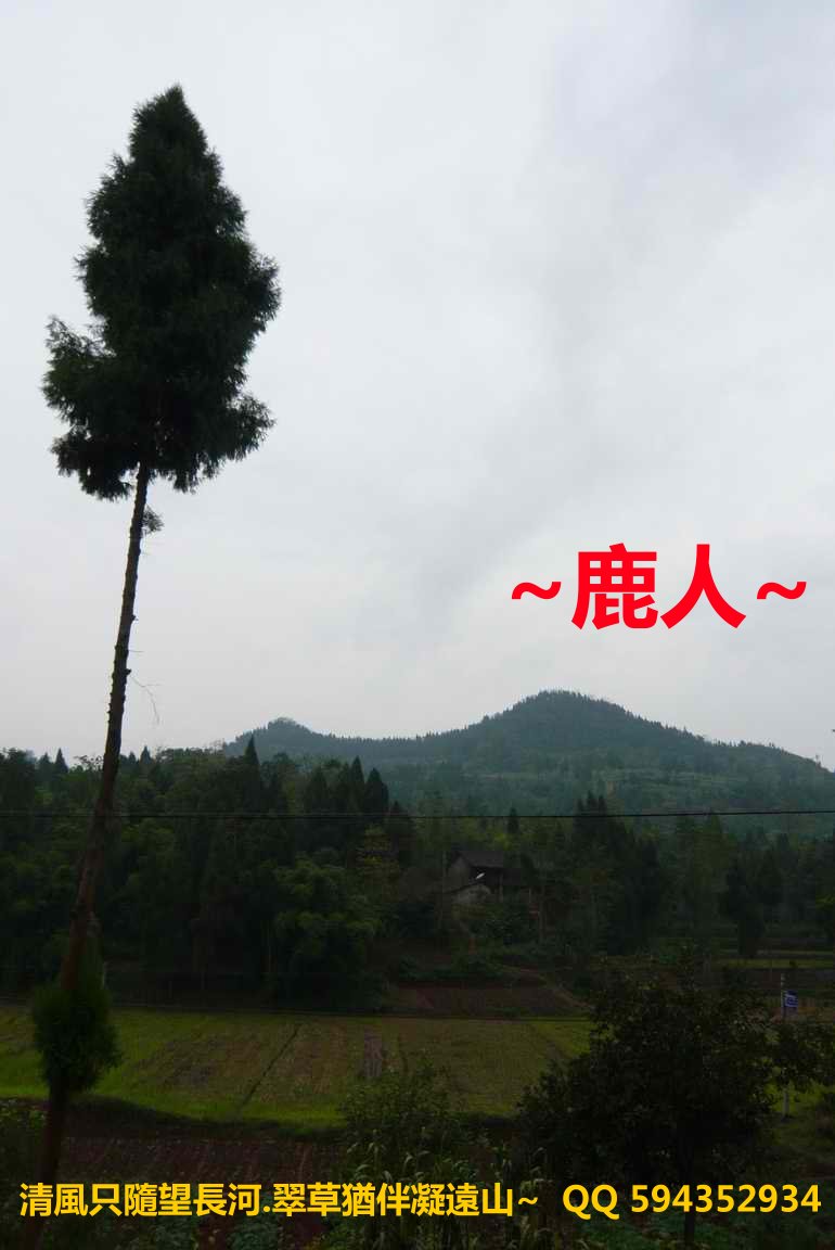 精神_01.JPG