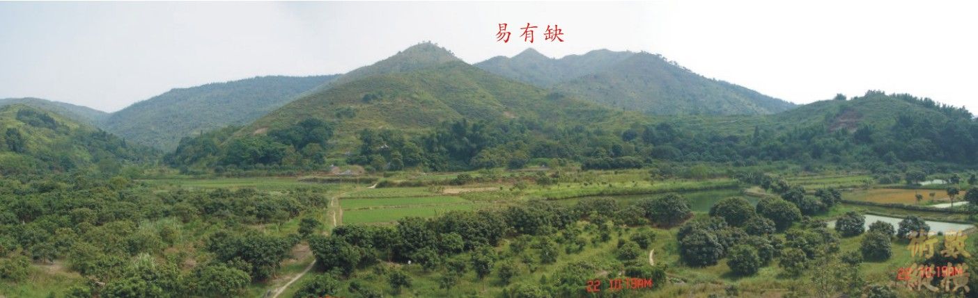 蓮花圖形1.jpg