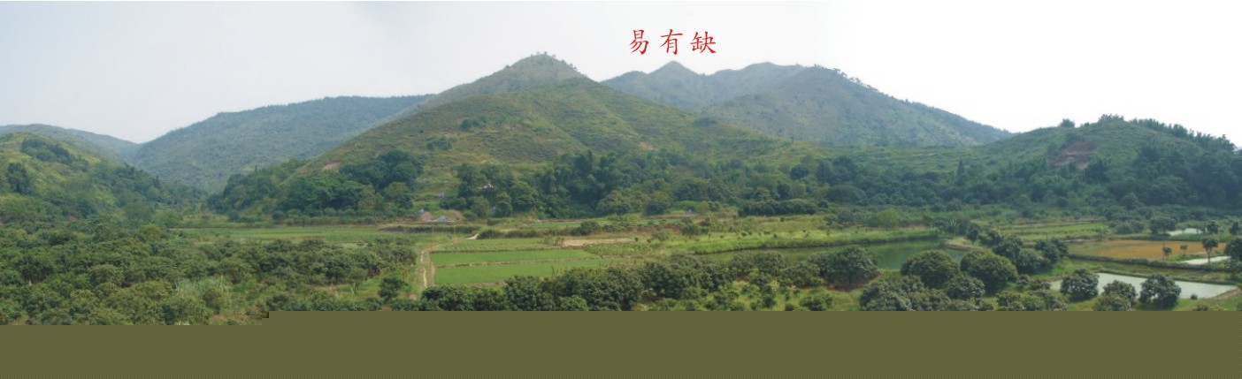 蓮花圖形1.jpg