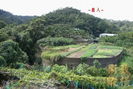 複製 4護峽砂.jpg