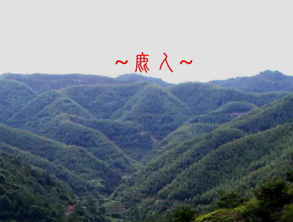 複製 (2) - CIMG0138.JPG