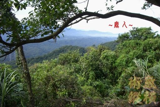 複製 11在祖山頂下脈處看過峽來龍右帳一節.jpg