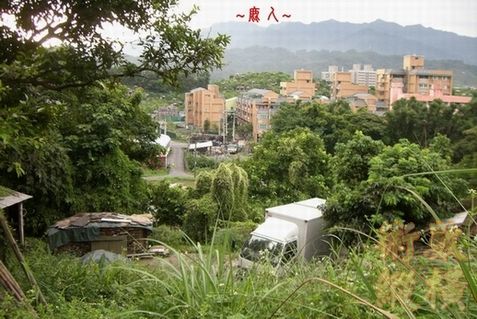複製 29穴場看朝案.jpg