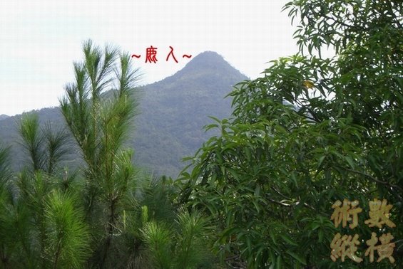 複製 CIMG0492.JPG