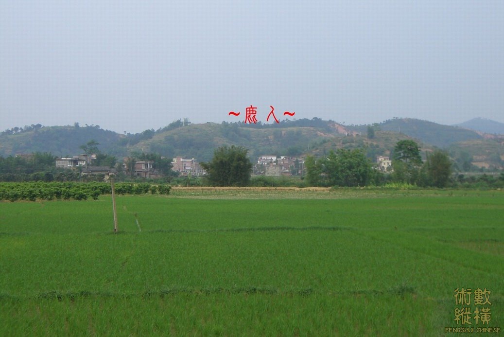 複製 CIMG6874.JPG