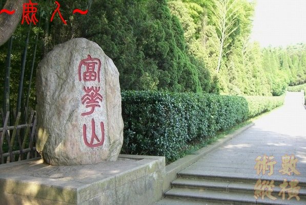 複製 CIMG8517.JPG