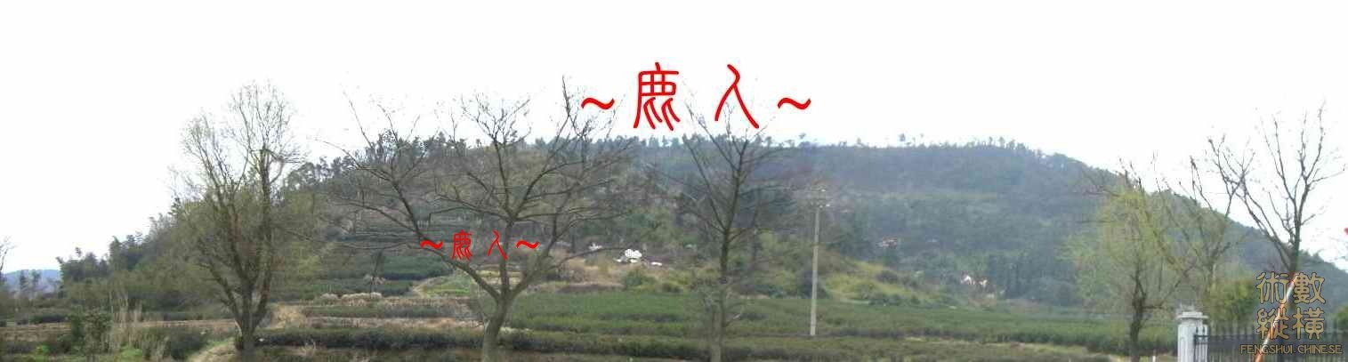 複製 複製 父母山與穴星全照.JPG