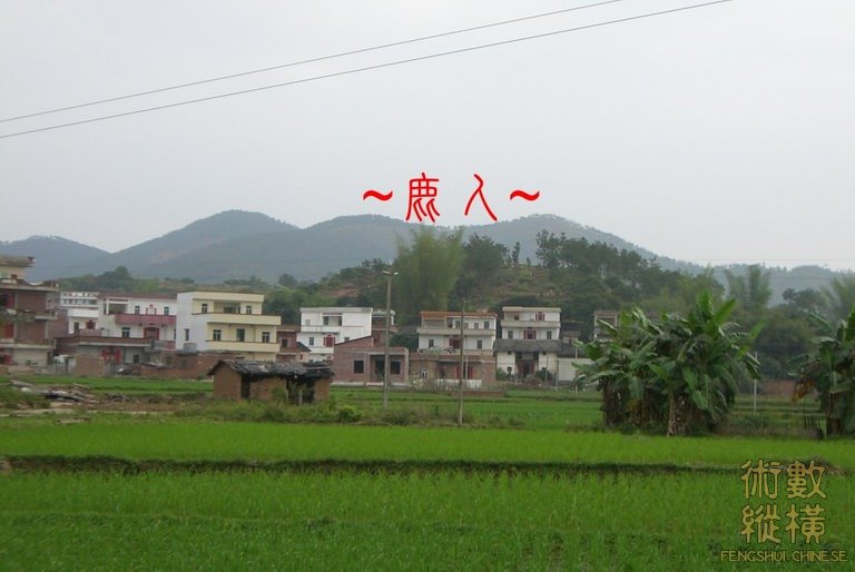 複製 由外堂看穴場.JPG