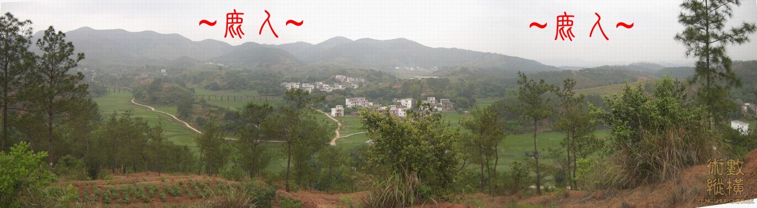 複製 在朝山看穴區全景.jpg