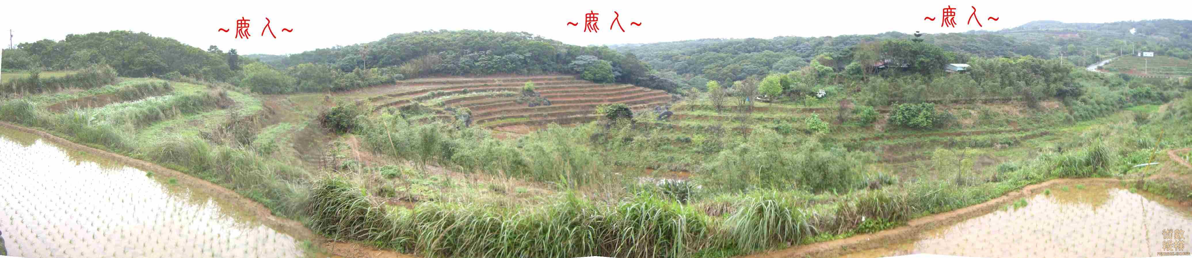 複製 在龍砂看蛇穴全景.JPG