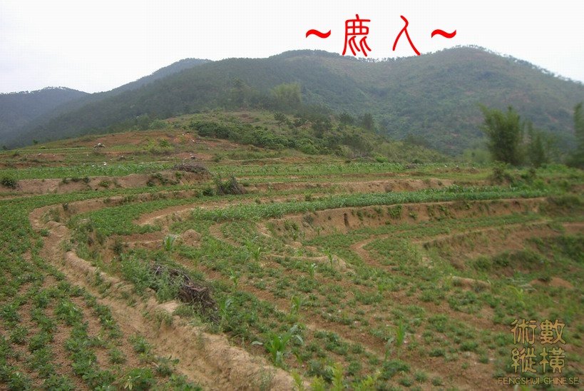 複製 近看父母山.jpg