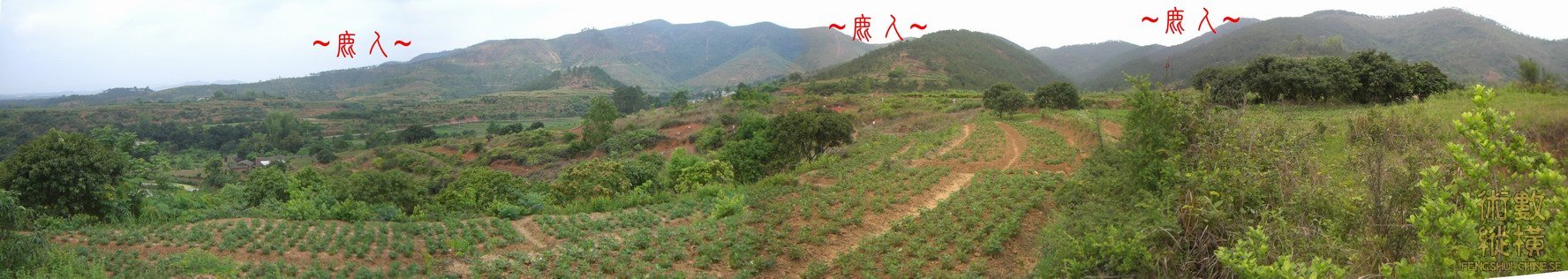 複製 看父母山與右帳砂全景.JPG