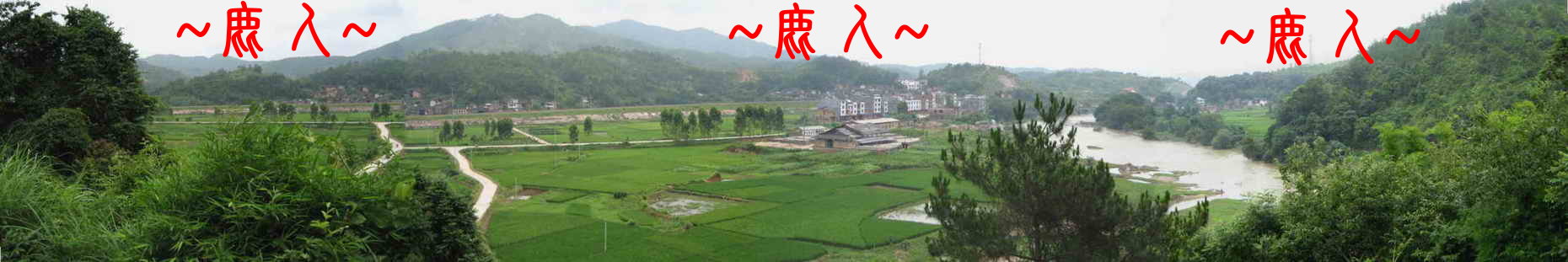 鄭氏始祖氶相鄭清墓5.JPG