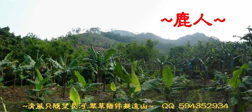 騎_4龍方側看穴山下脈.JPG