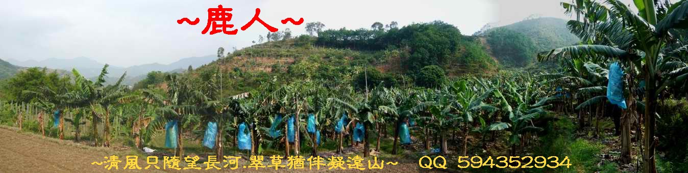 騎_5於龍方近側看穴山下脈.JPG