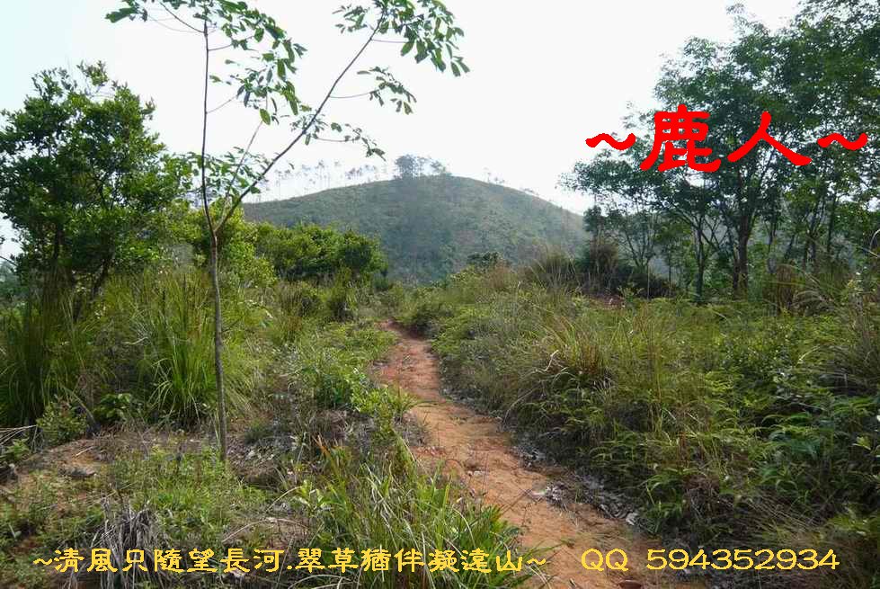 騎_8穴後脈上看父母山.JPG