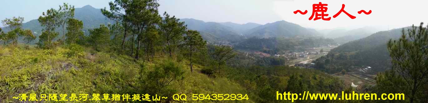 騎龍兩樣情_09.JPG
