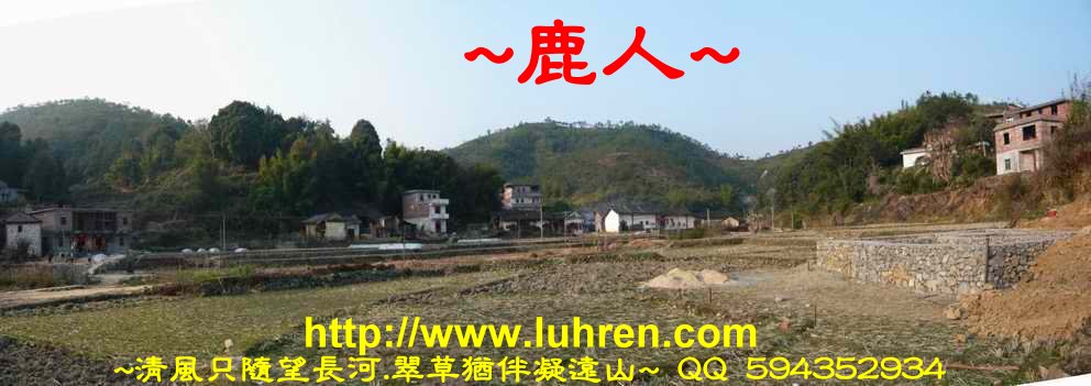 騎龍兩樣情_03.JPG