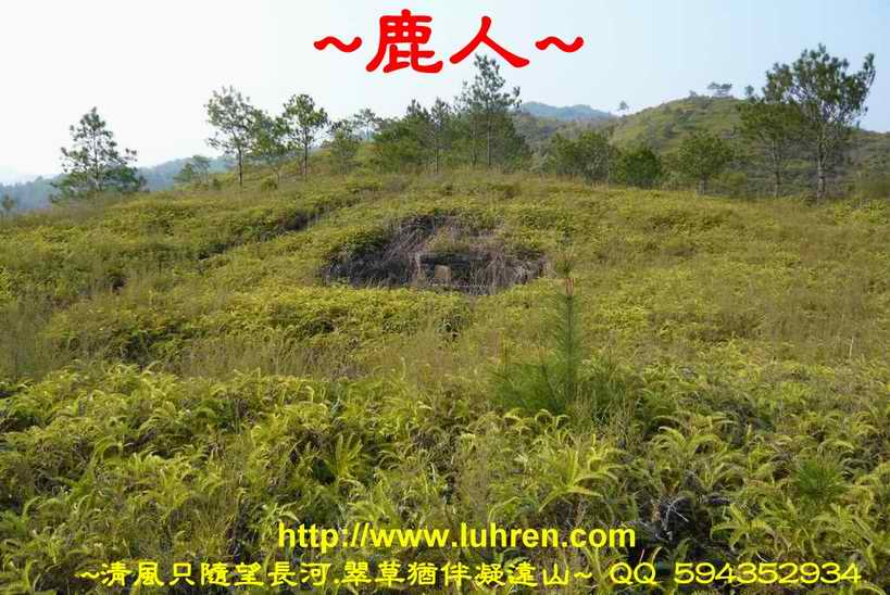 騎龍兩樣情_07.JPG