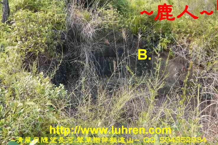 騎龍兩樣情_02.JPG