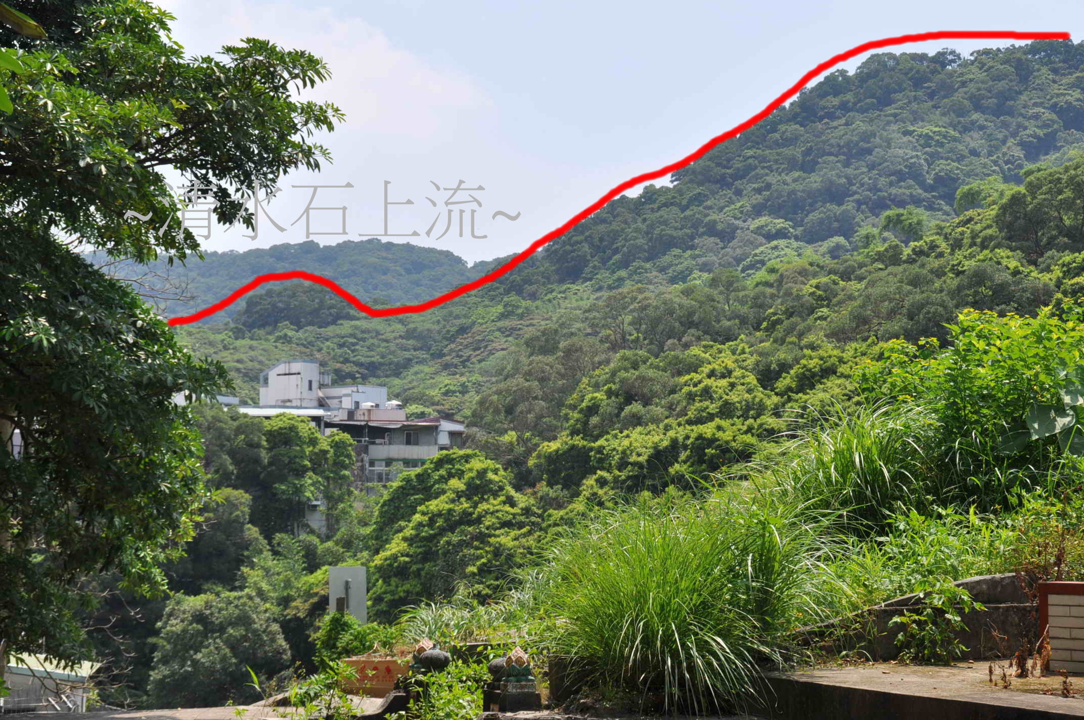 頭.jpg