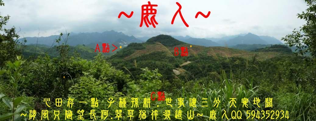 龍_04.JPG