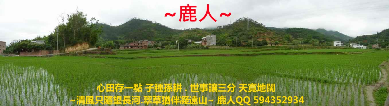 雙燕挑樑_08.JPG
