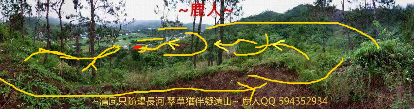 雙燕挑樑_04標示.JPG.jpg