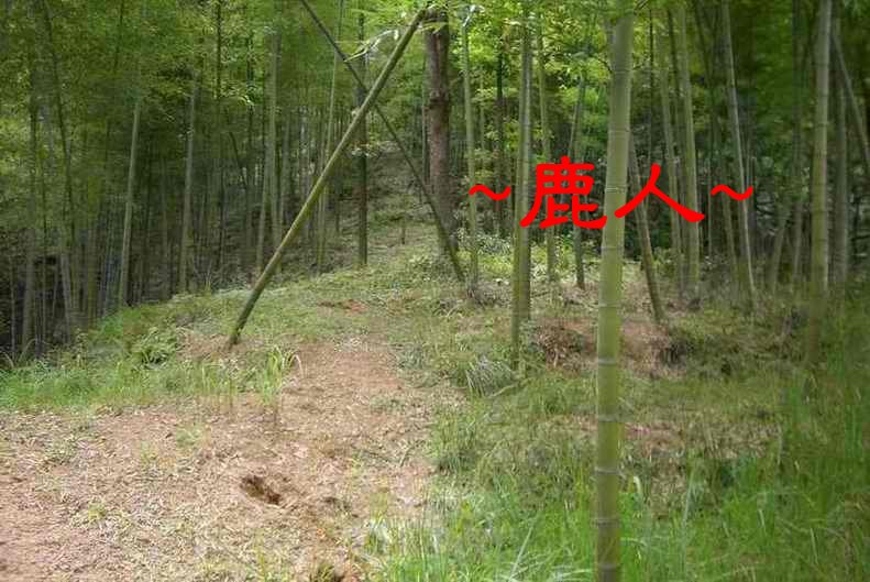 鐘鎚).JPG