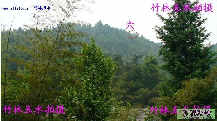 0909201503c48003657045cb14.jpg
