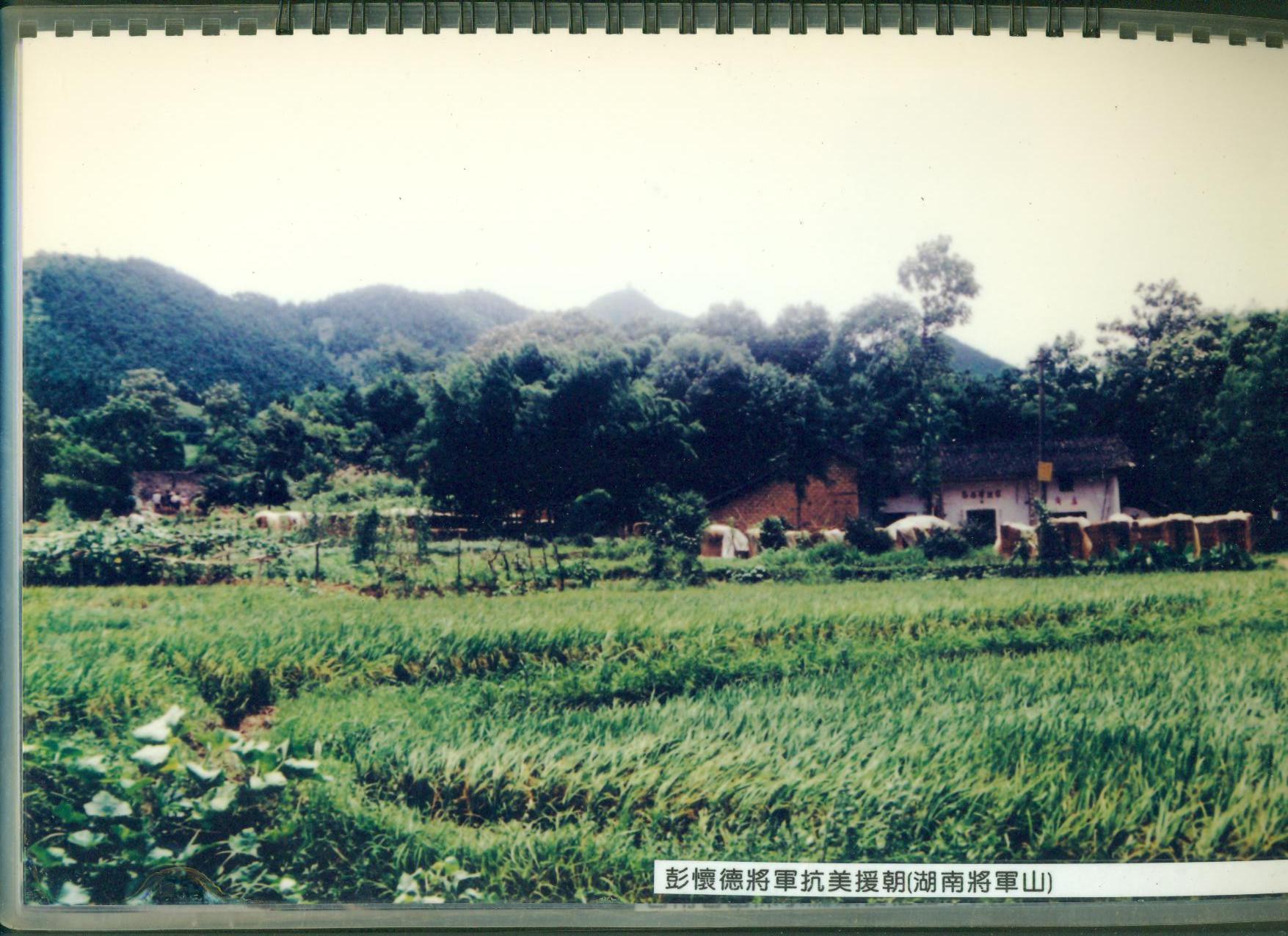 鄧-11.jpg