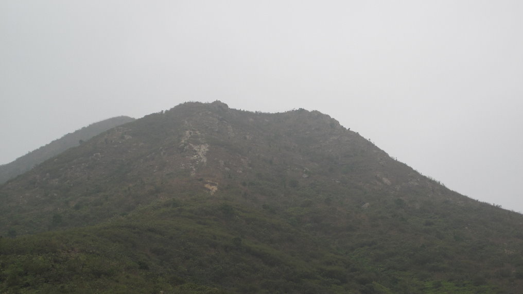IMG_5447.JPG