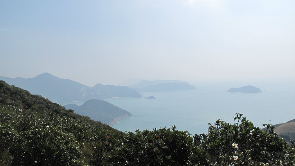 IMG_5565.JPG