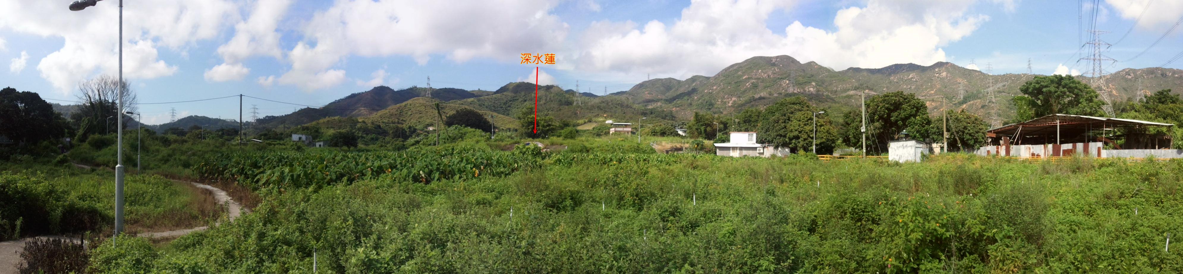 相片0080-3.jpg