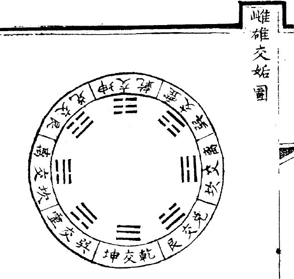 雌雄交圖.jpg