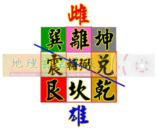 雌雄.jpg
